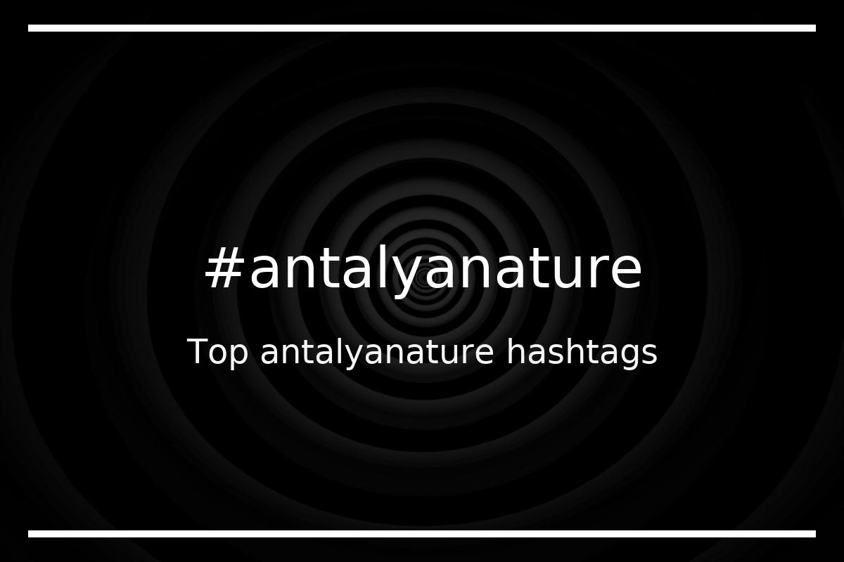 Best antalyanature Hashtag for social media like Instagram, Youtube, Twitter, Pinterest, TikTok, Facebook (#antalyanature) Best antalyanature Hashtag for social media like Instagram, Youtube, Twitter, Pinterest, TikTok, Facebook (#antalyanature)