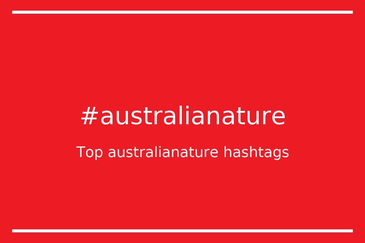Best australianature Hashtag for social media like Instagram, Youtube, Twitter, Pinterest, TikTok, Facebook (#australianature) Best australianature Hashtag for social media like Instagram, Youtube, Twitter, Pinterest, TikTok, Facebook (#australianature)