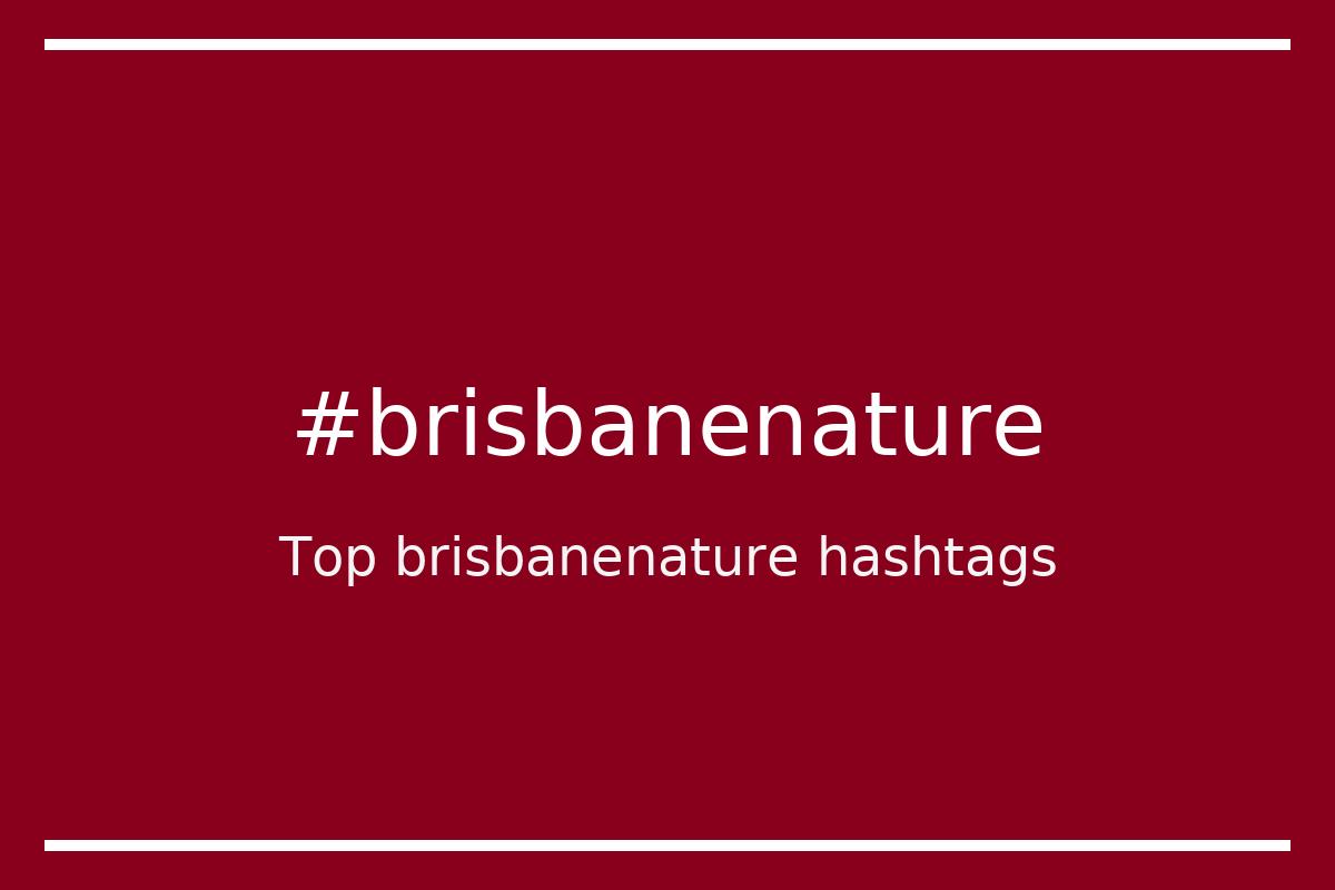 Best brisbanenature Hashtag for social media like Instagram, Youtube, Twitter, Pinterest, TikTok, Facebook (#brisbanenature) Best brisbanenature Hashtag for social media like Instagram, Youtube, Twitter, Pinterest, TikTok, Facebook (#brisbanenature)