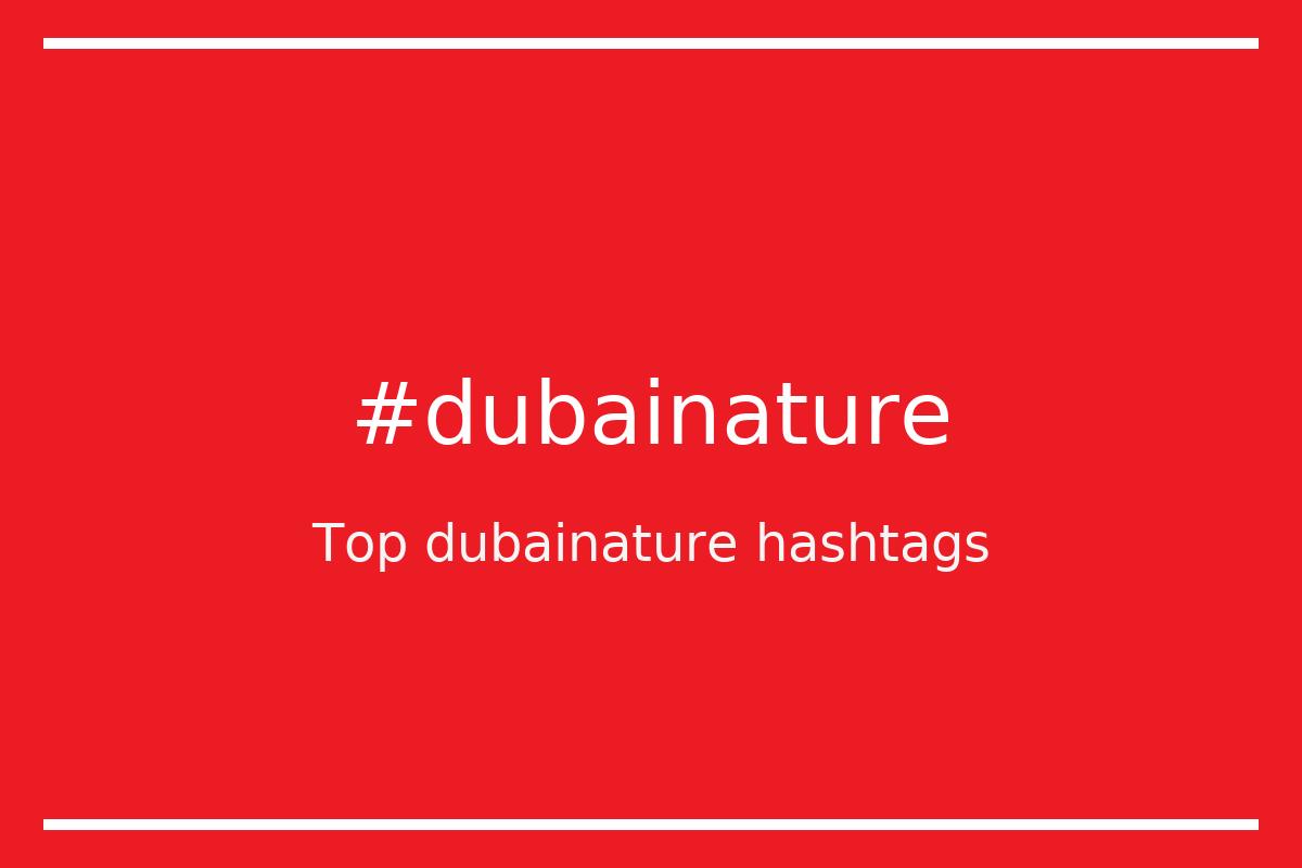 Best dubainature Hashtag for social media like Instagram, Youtube, Twitter, Pinterest, TikTok, Facebook (#dubainature) Best dubainature Hashtag for social media like Instagram, Youtube, Twitter, Pinterest, TikTok, Facebook (#dubainature)