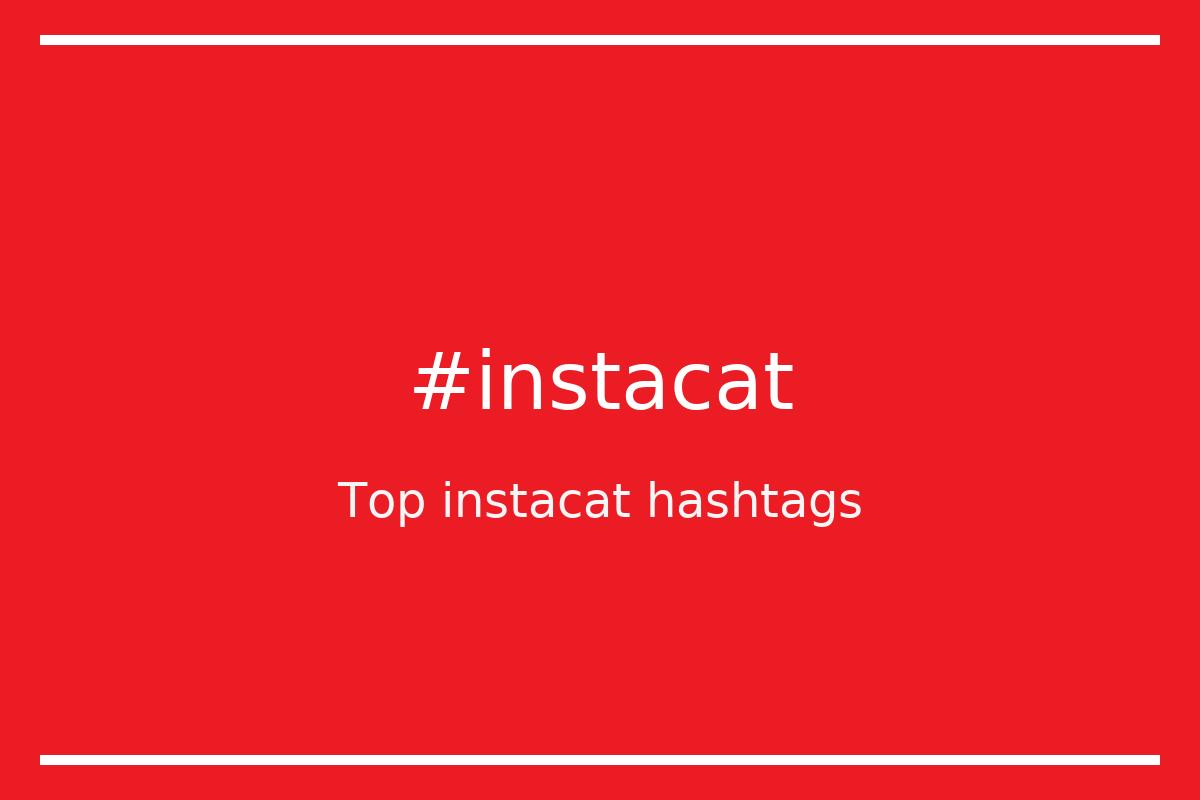 Best instacat Hashtag for social media like Instagram, Youtube, Twitter, Pinterest, TikTok, Facebook (#instacat) Best instacat Hashtag for social media like Instagram, Youtube, Twitter, Pinterest, TikTok, Facebook (#instacat)