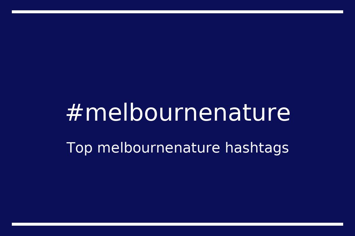 Best melbournenature Hashtag for social media like Instagram, Youtube, Twitter, Pinterest, TikTok, Facebook (#melbournenature) Best melbournenature Hashtag for social media like Instagram, Youtube, Twitter, Pinterest, TikTok, Facebook (#melbournenature)