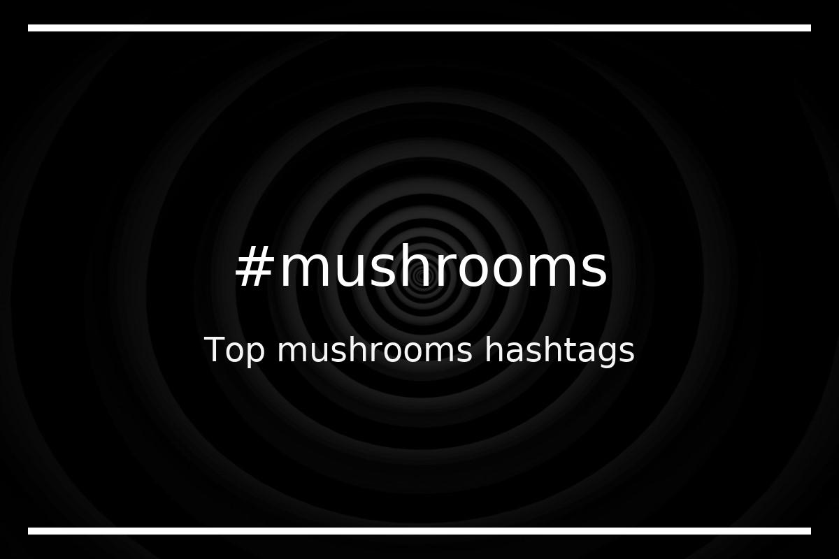 Best mushrooms Hashtag for social media like Instagram, Youtube, Twitter, Pinterest, TikTok, Facebook (#mushrooms) Best mushrooms Hashtag for social media like Instagram, Youtube, Twitter, Pinterest, TikTok, Facebook (#mushrooms)
