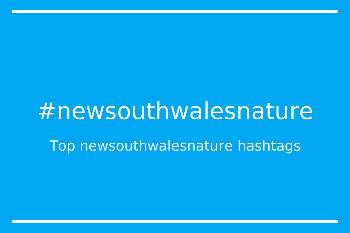 Best newsouthwalesnature Hashtag for social media like Instagram, Youtube, Twitter, Pinterest, TikTok, Facebook (#newsouthwalesnature) Best newsouthwalesnature Hashtag for social media like Instagram, Youtube, Twitter, Pinterest, TikTok, Facebook (#newsouthwalesnature)