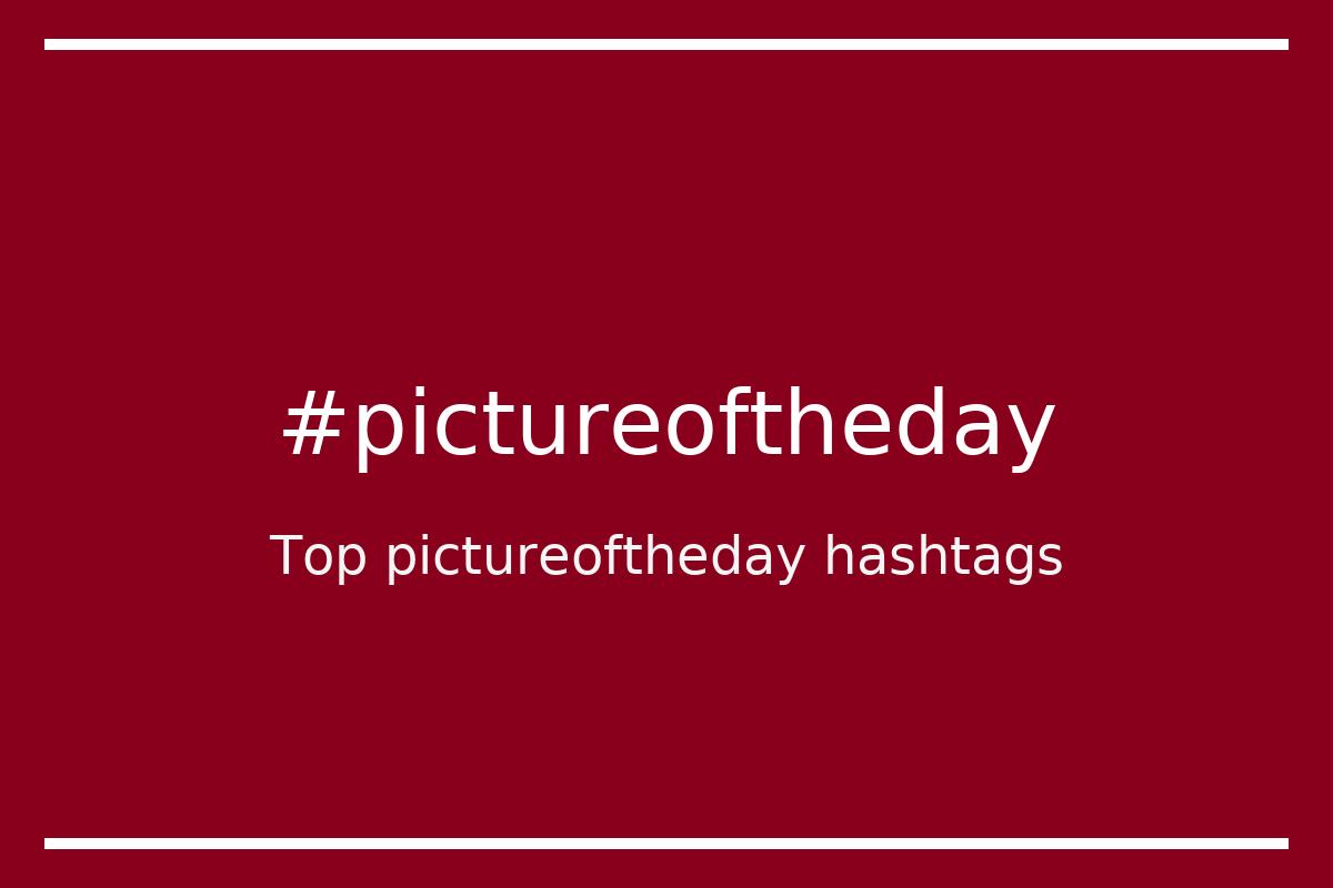 Best pictureoftheday Hashtag for social media like Instagram, Youtube, Twitter, Pinterest, TikTok, Facebook (#pictureoftheday) Best pictureoftheday Hashtag for social media like Instagram, Youtube, Twitter, Pinterest, TikTok, Facebook (#pictureoftheday)