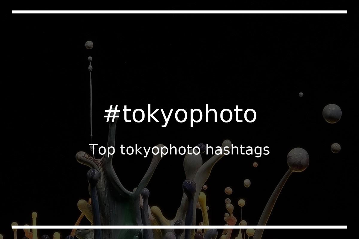 Best tokyophoto Hashtag for social media like Instagram, Youtube, Twitter, Pinterest, TikTok, Facebook (#tokyophoto) Best tokyophoto Hashtag for social media like Instagram, Youtube, Twitter, Pinterest, TikTok, Facebook (#tokyophoto)