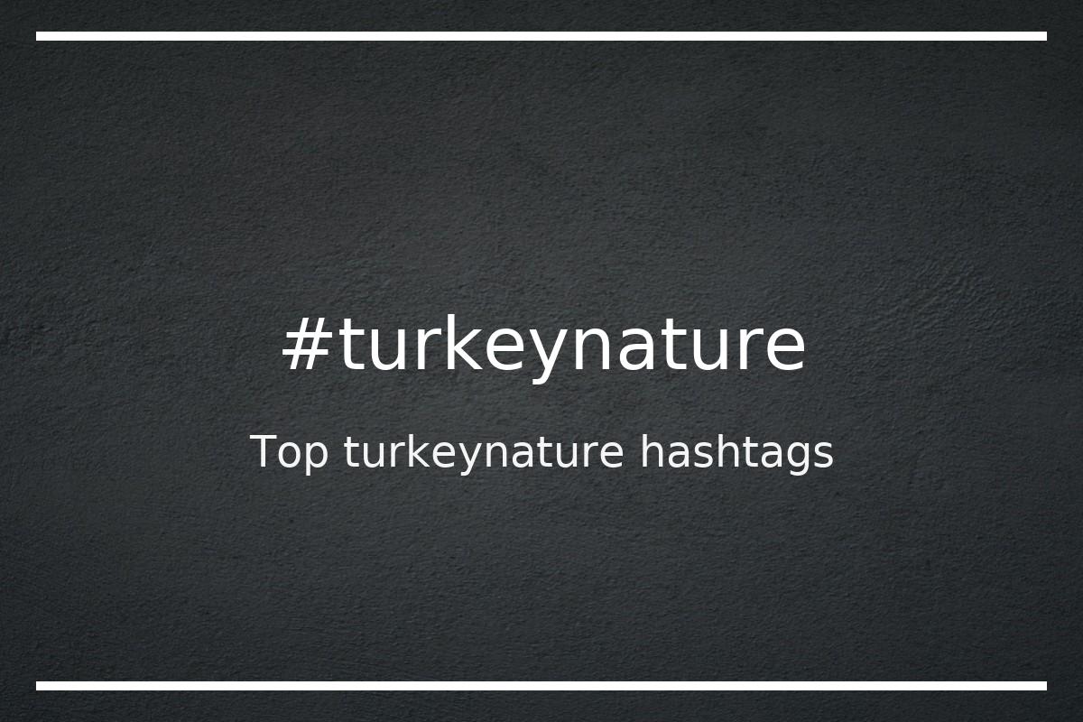 Best turkeynature Hashtag for social media like Instagram, Youtube, Twitter, Pinterest, TikTok, Facebook (#turkeynature) Best turkeynature Hashtag for social media like Instagram, Youtube, Twitter, Pinterest, TikTok, Facebook (#turkeynature)