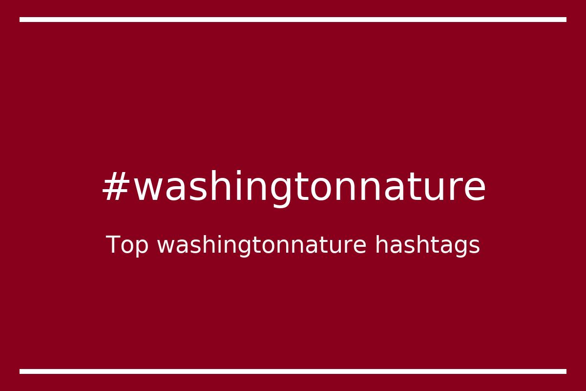 Best washingtonnature Hashtag for social media like Instagram, Youtube, Twitter, Pinterest, TikTok, Facebook (#washingtonnature) Best washingtonnature Hashtag for social media like Instagram, Youtube, Twitter, Pinterest, TikTok, Facebook (#washingtonnature)